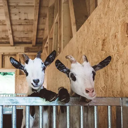 Habachklause Familien Bauernhof 4*